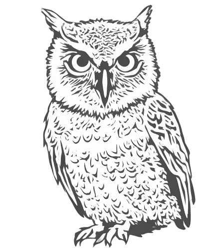 T-Shirts Pattern: Monochrome Owl - Wisdom and Mystery