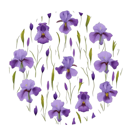 Custom Tee Shirts: Purple Irises - Nature's Hope