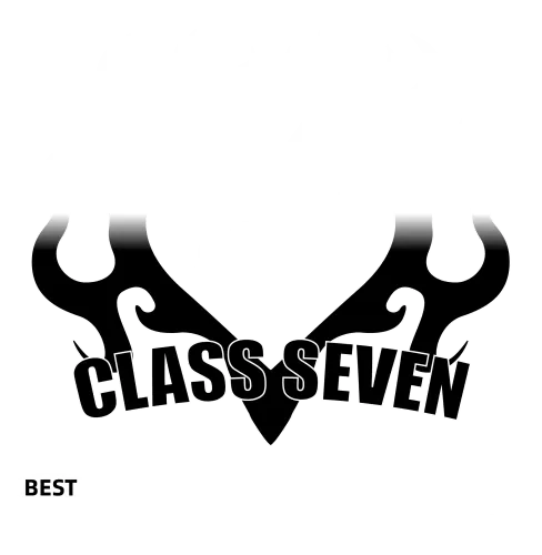 Customized Tee Shirts: Embrace Strength and Pride with Class Seven