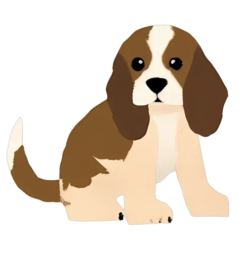 Custom Tee Shirts: Bella the Beagle - Cute Puppy Design