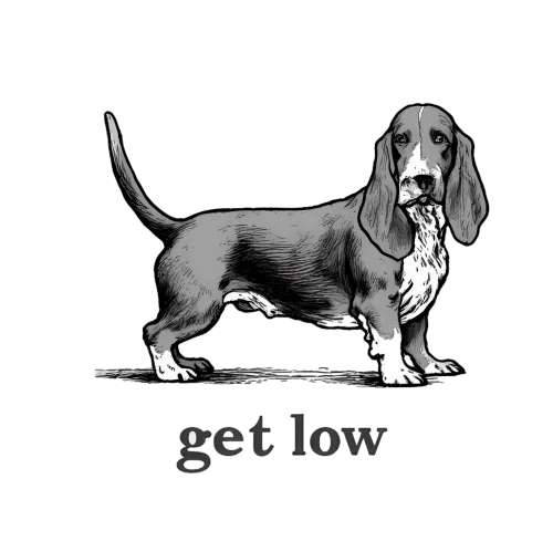 Shirts Graphic Tees: Get Low with Max the Basset Hound