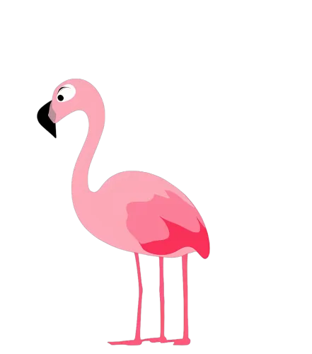 T-Shirts Pattern: Embrace Your Inner Flamingo with Fiona