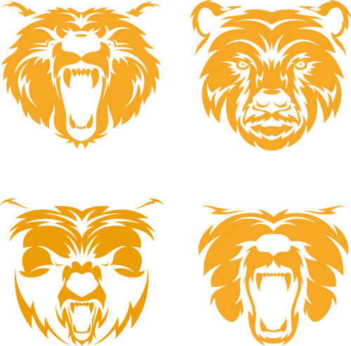 TShirt Design: Wild Bear - Strength and Protection