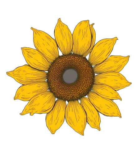 T-Shirts Pattern: Sunflower Beauty - Artistic Nature Design