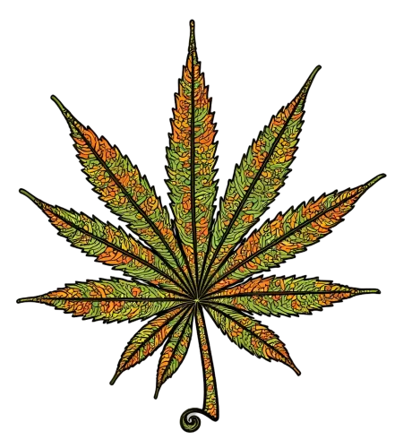 Graphic Tees: Nature's Canvas - Cannabis Leaf Art