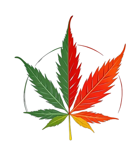 Custom Tee Shirts: Vibrant Reggae Leaf Design