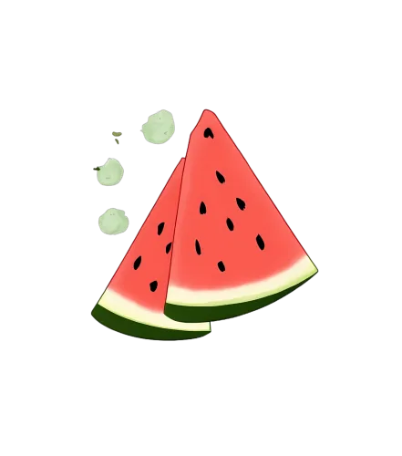 Tee Shirt Printing: Summer Watermelon Bliss