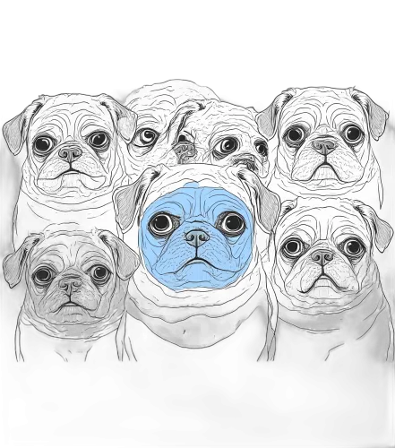 Custom T-Shirt Printing: Blue-Faced Pug - Embrace Your Uniqueness