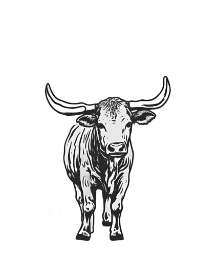 Custom T-Shirt Printing: The Spirit of Texas Longhorn