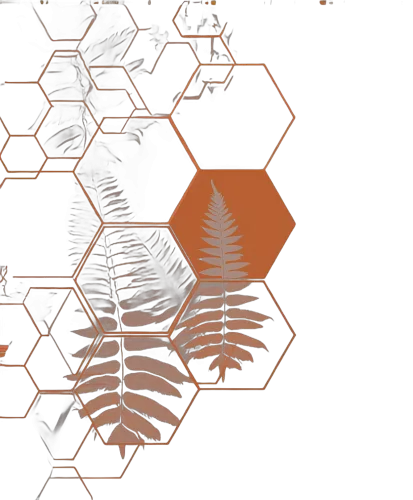 TShirt Design: Nature's Geometry - Fern Leaf & Hexagon Harmony