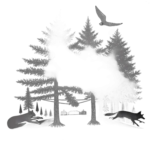 Tee Shirts Printed: Forest Harmony | Wolves, Cabin & Owl