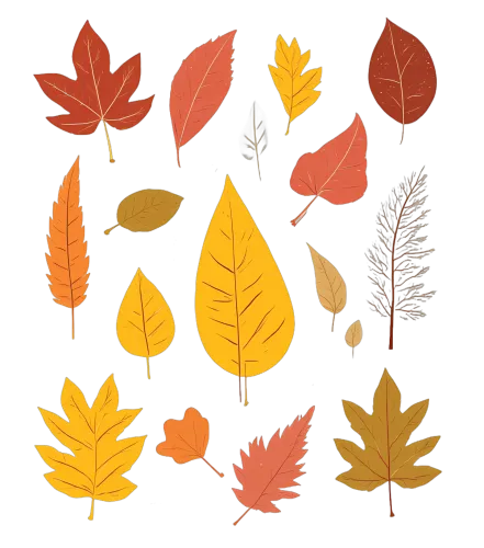 Tee Shirt Printing: Autumn Leaves - Nature's Cycle of Beauty