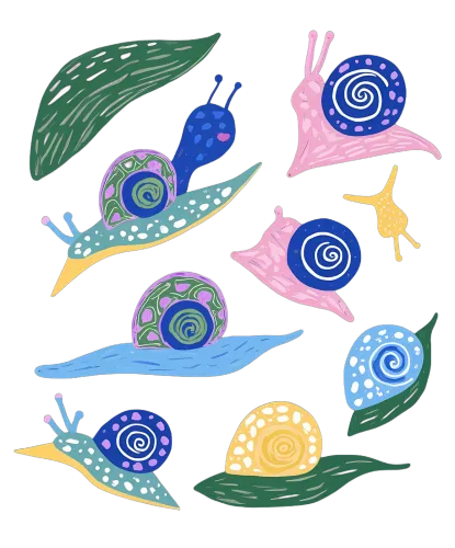 Tee Shirts Printed: Whimsical Snails in Colorful Patterns