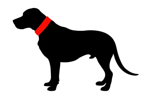 TShirt Printing: Bold Red Collar Dog Silhouette - Companionship and Loyalty