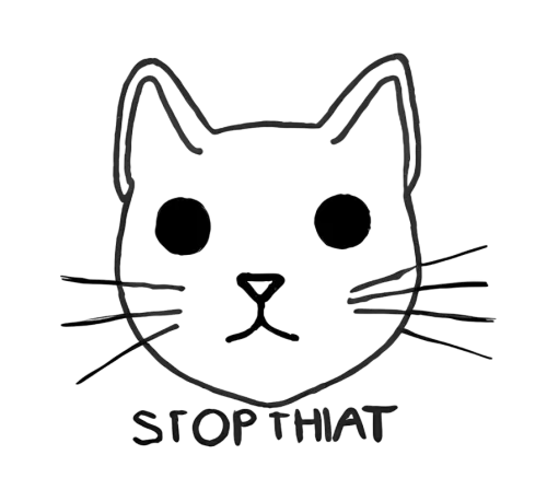 Customized Tee Shirts: Whiskers the Cat - STOP THAT