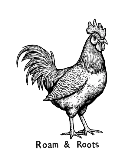 Rooster T-Shirts Design: Vintage Engraving Art