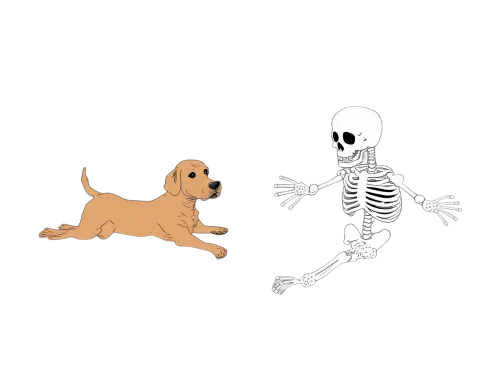 Unique Graphic Design Featuring Adorable Puppy and Dancing Skeleton