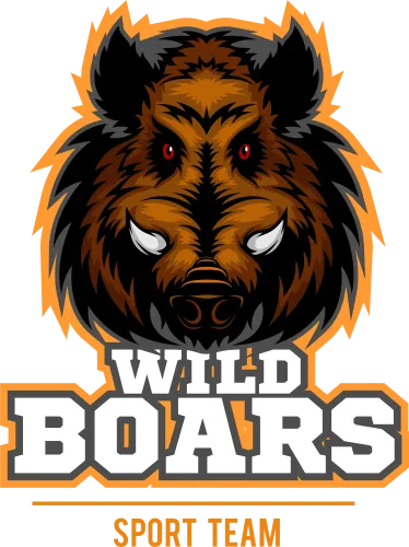 Custom Tee Shirts: Wild Boars Sport Team - Strength and Resilience