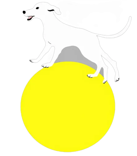 Custom Tee Shirts: Luna's Joyful Adventure - Playful Dog on Yellow Ball