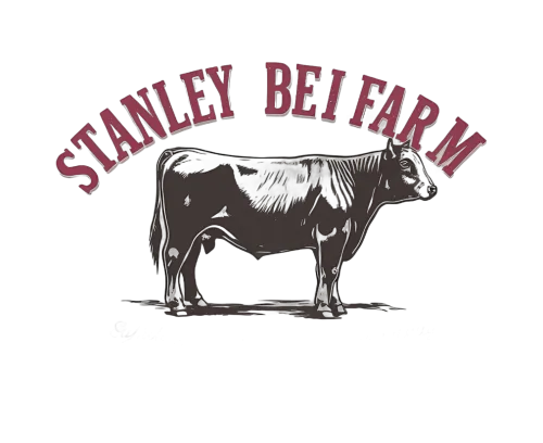 Custom T-Shirt Printing: Stanley Bei Farm - Vintage Farm Cow Design