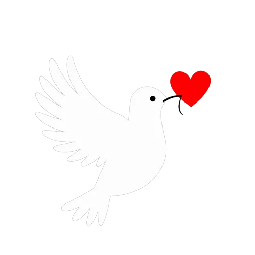 TShirt Printing: Dove of Love and Peace