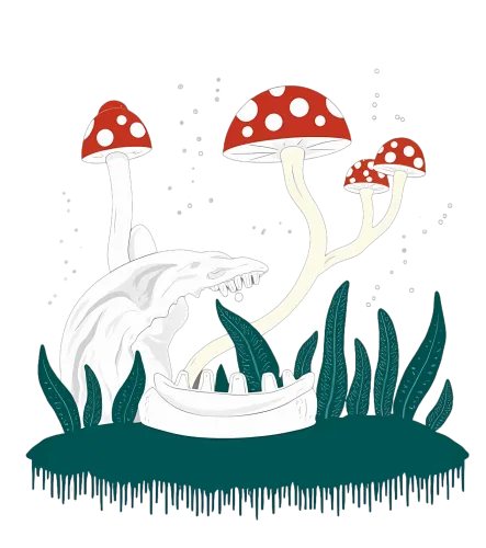 Tee Shirts Printed: Enchanted Forest Skull with Glowing Mushrooms