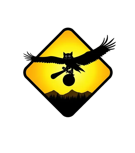 TShirt Printing: Owl Skateboarding at Sunset - Adventure and Freedom