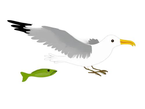 Tee Shirts Printed: Seagull and Fish Friendship Adventure