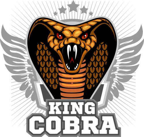 Tee Shirt Printing: King Cobra - Power and Freedom