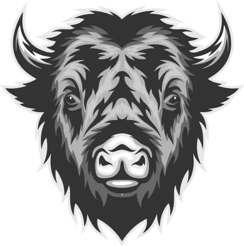 TShirt Design: Bison Spirit - Strength and Endurance