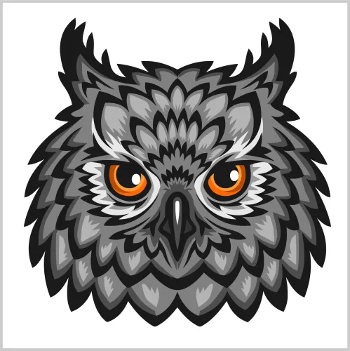 T-Shirts Custom: Orion the Wise Owl - Artistic Design