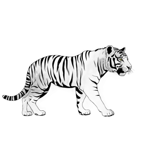 Graphic Tees: White Tiger - Strength and Resilience