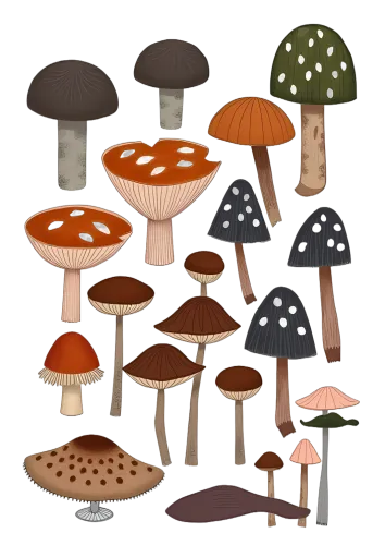 Tee Shirts Printed: Enchanted Forest Mushrooms - Artistic Nature Design