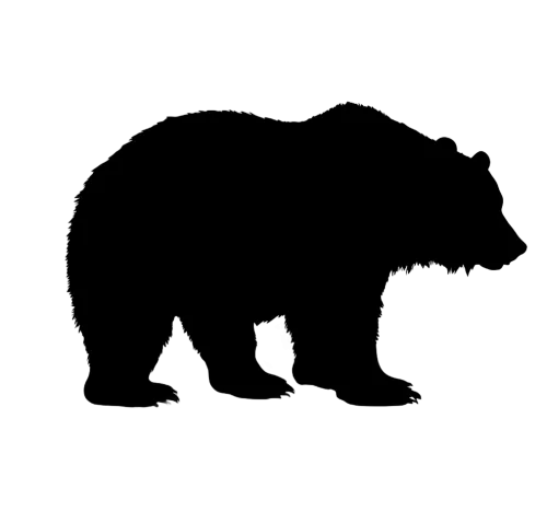 Bruno the Bear: Shirts Graphic Tees - Nature's Power and Beauty