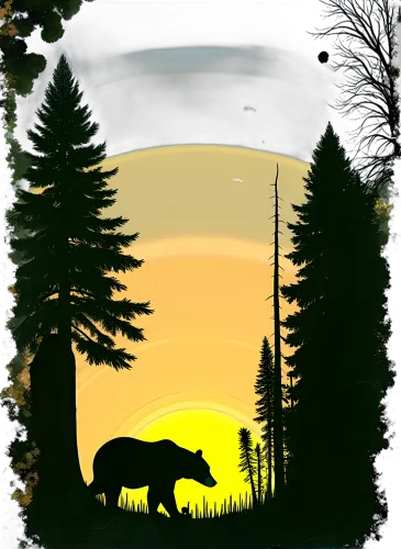 TShirt Design: Bruno the Bear in the Sunset Forest