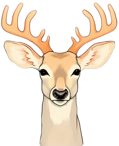 Tee Shirt Printing: Majestic Deer - Artistic Nature Design